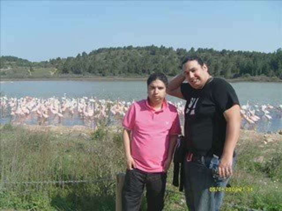 la reserve africaine sigean