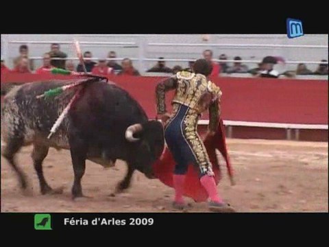 Féria de Pâques Arles 2009 : Résumé des corridas