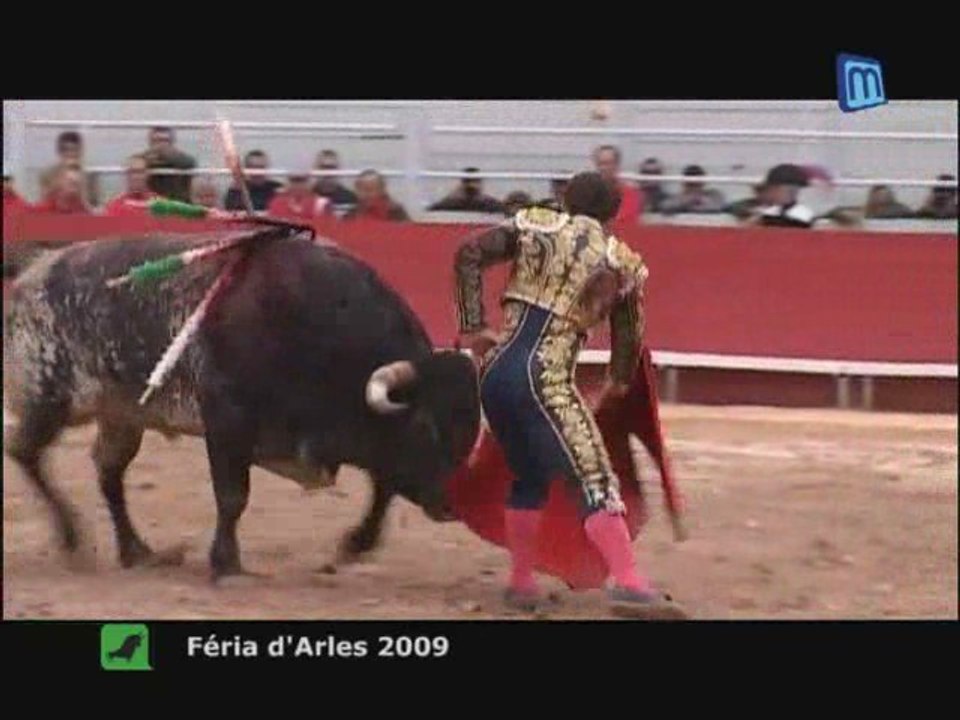 Féria de Pâques Arles 2009 : Résumé des corridas