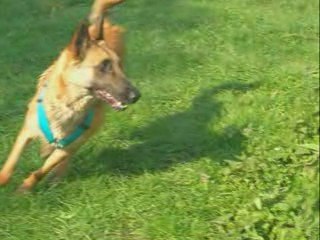 petite baignade de lundi de paque