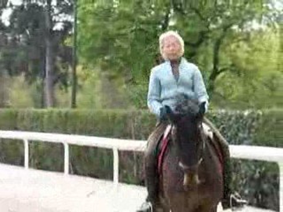 PLR - Patrick LE ROLLAND coaching Dressage à Jutta MALGLAIVE