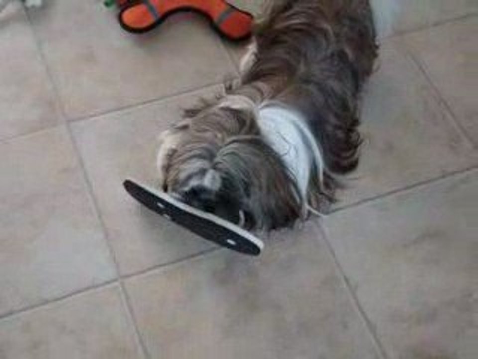 KALINE EST DECHAINEE!