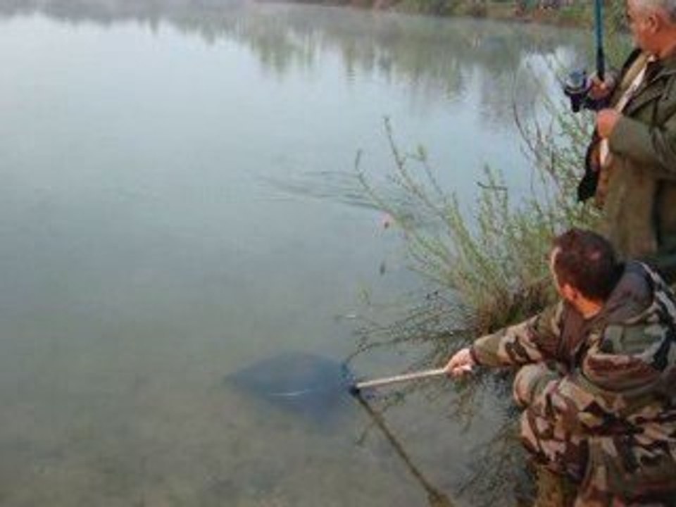 Gros brochet au vif à la Sauvageonne