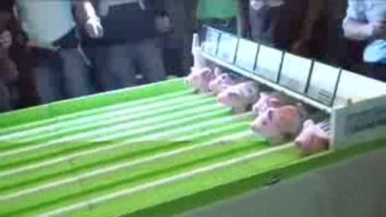 ALL BLACKS - RICHIE MCCAW