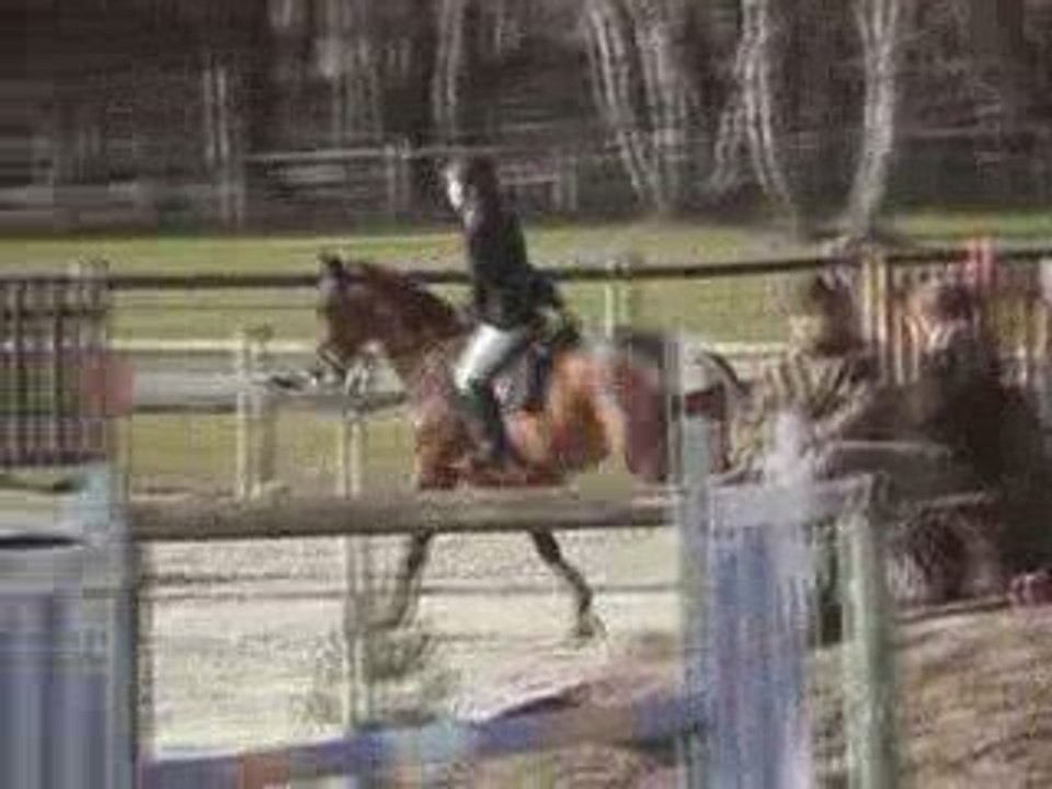 CCE Fontainebleau mars 2009- AM Elite - Justine  et Milano