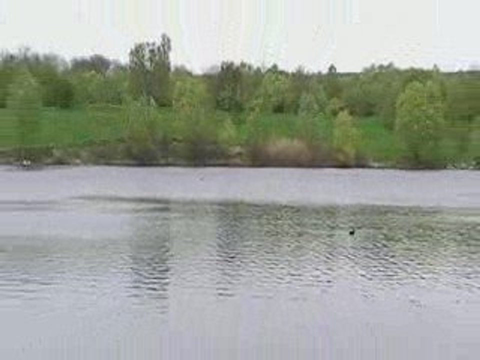 bord de seine
