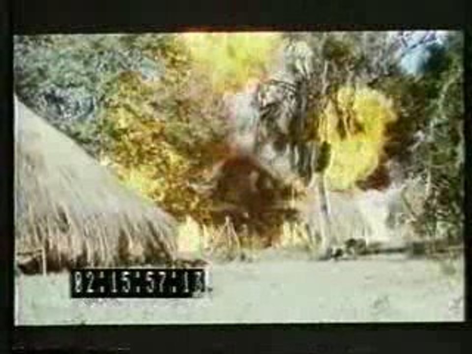 "Rage of Honor" - trailer