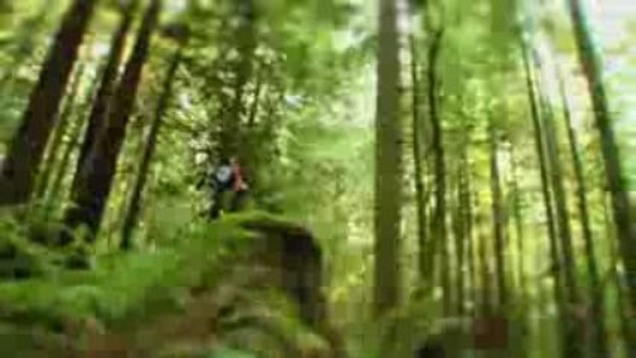 Kranked-REVOLVE Trailer