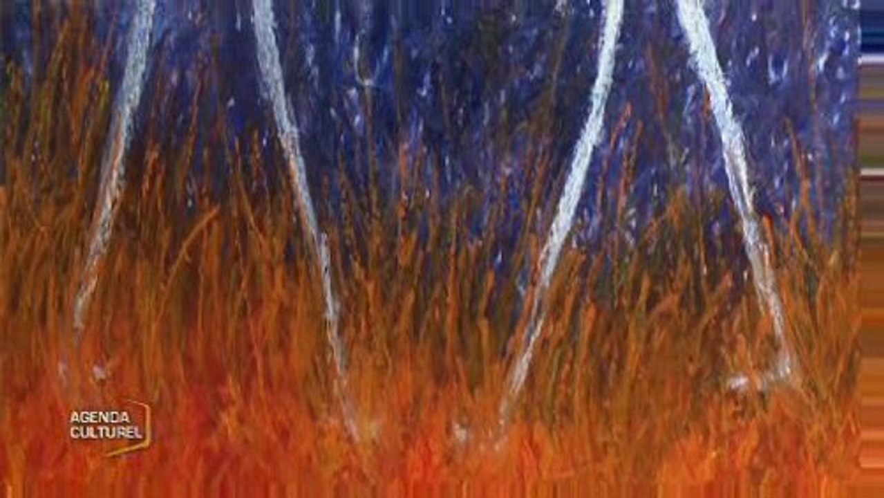 Vendée : L'Agenda Culturel du mardi 14 avril 2009