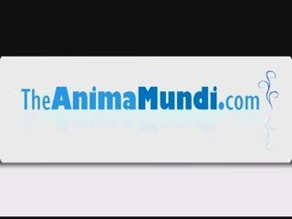 Health and Cordyceps