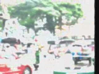 Elephant Join the water festival in Bangkok