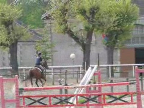 Galop sur la piste noir
