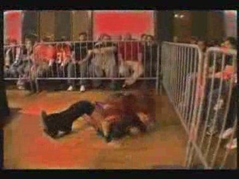 Eden Black - Punk Rock Princess