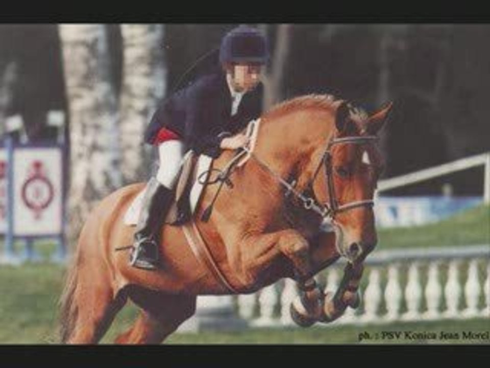 Joy-hivet_0001