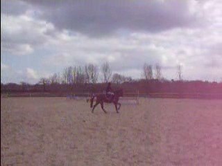 Concours 29;03;09 avec  Riiver