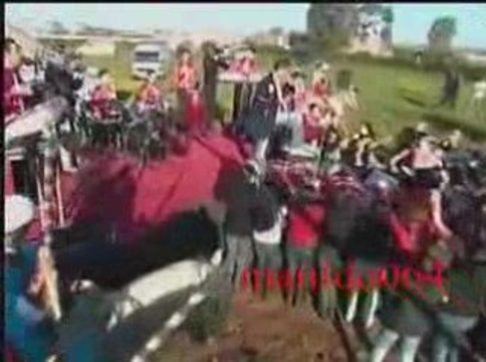 Daoudi_2009_-_maskina_ma3andha_zhar_.