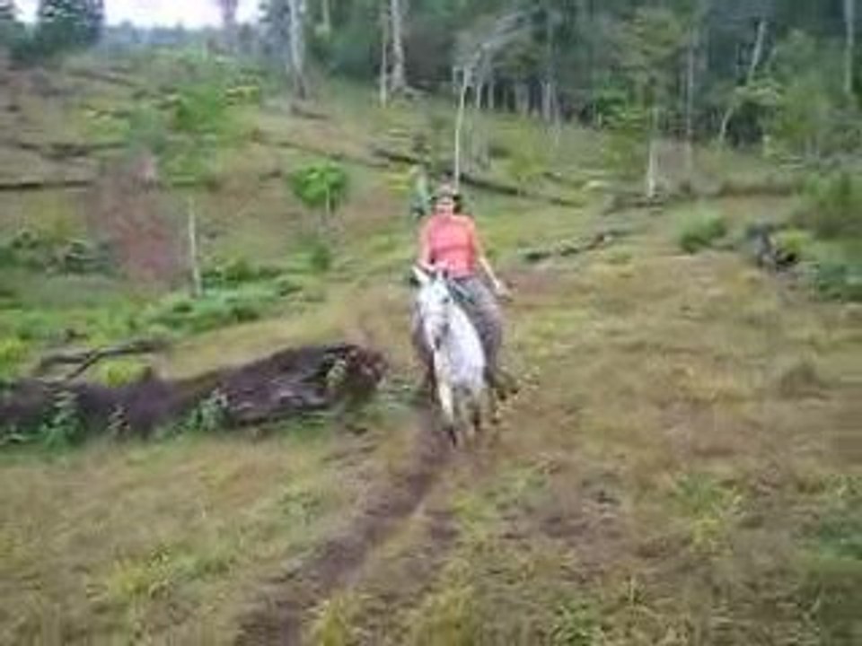Galop celine