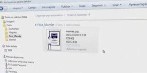 Galeria de fotos - Windows Live