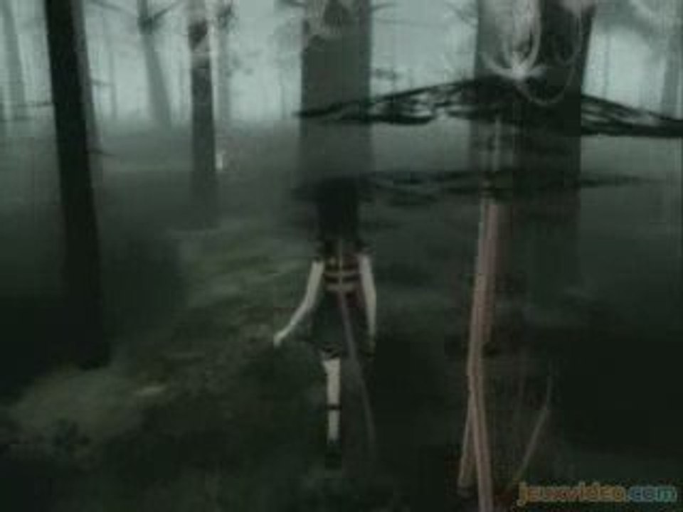 The path
