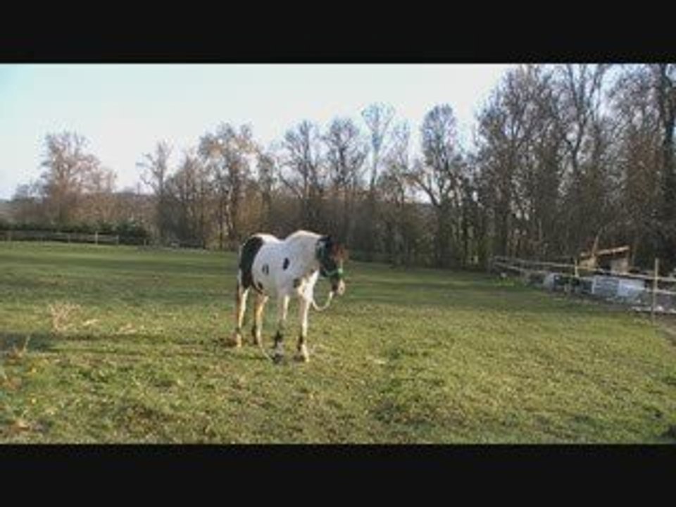 Au tour de mon loulou...