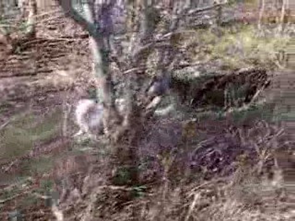 15-04-09-VID1