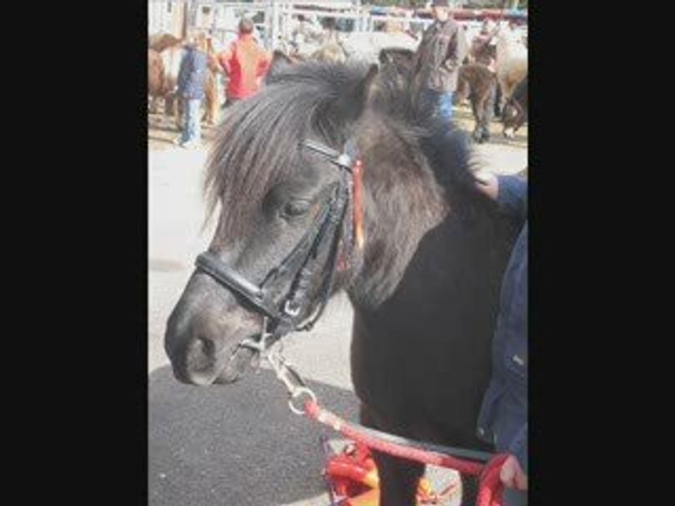 Concours agricole 2009