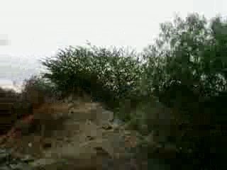 en route vers cokekiraw