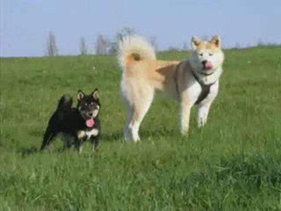 Vik et Minako