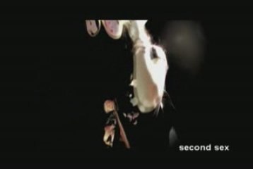 INCROYABLE SECOND SEX    FACEBOOK  TWITTER LESTROISCREATIFS