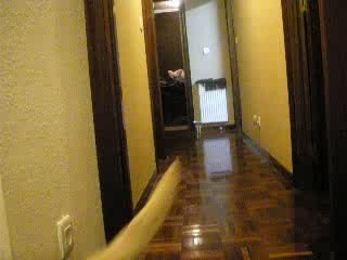 Coolest Guy on the Planet - Puppy P2