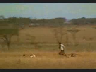 ekmek aslanın agzında