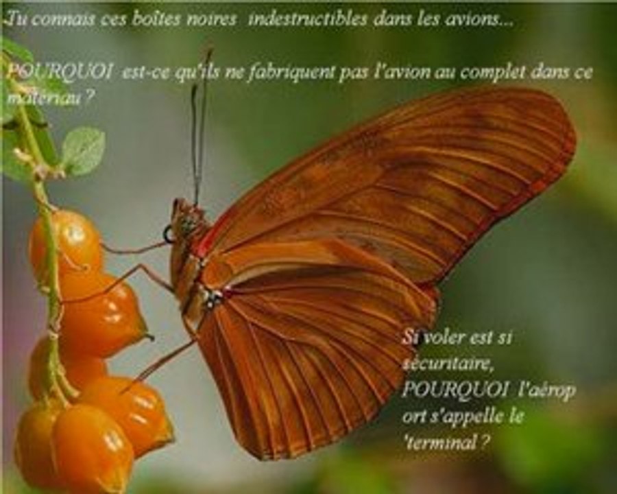 Pourquoi ?