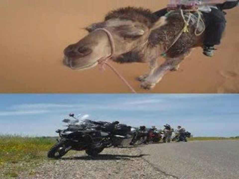 Maroc 2008