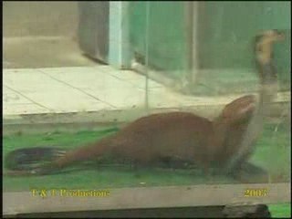 THAI LAN 7 NGAY AN & CHOI_chunk_6