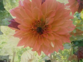 психолог Левченко Юрий