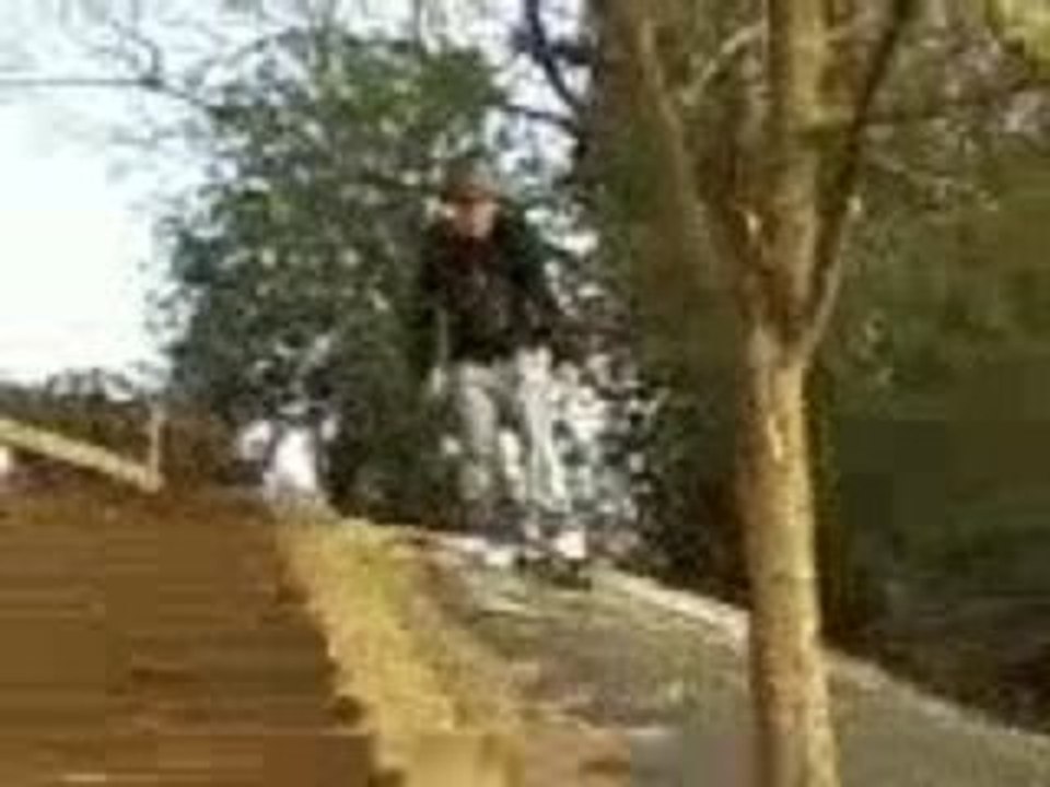 Skate ptit suisse