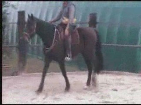 Omega et l'ethologie