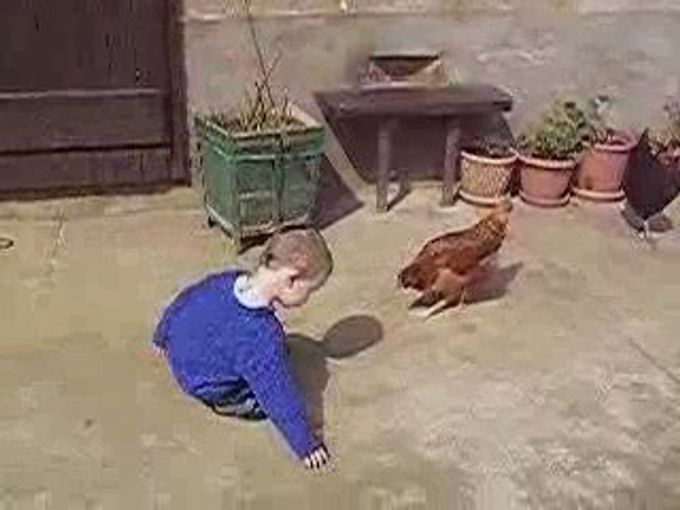 poules2