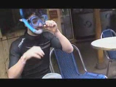 Migration des grenouilles - les 3 fontaines