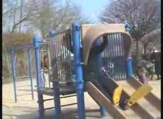 Grenouille cherche son chemin a travers le parc a jeu