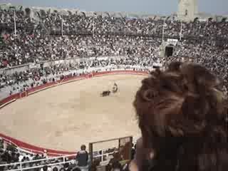 Corrida à cheval