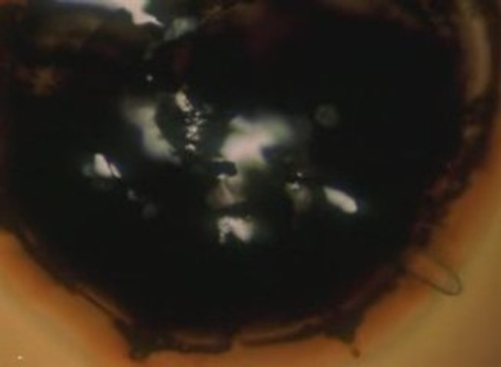 Drunken Monkey & Comics Trip - Rupture n°7