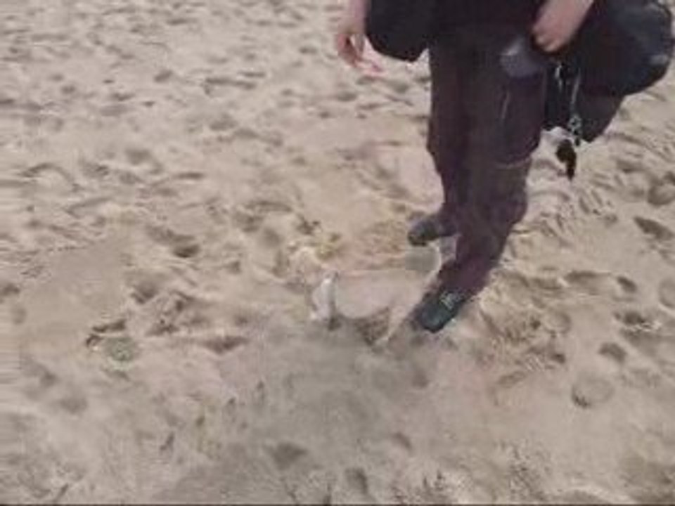 Lili à la plage 3