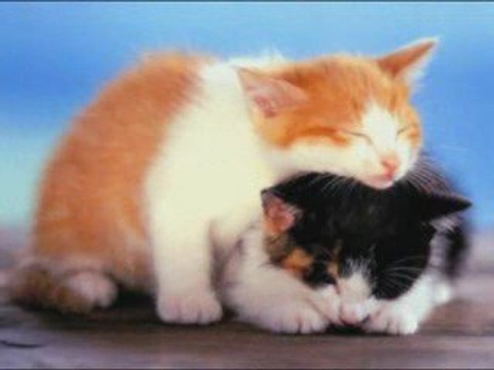 Tendrement...