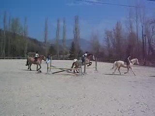 Scéance de saut d'obstacle