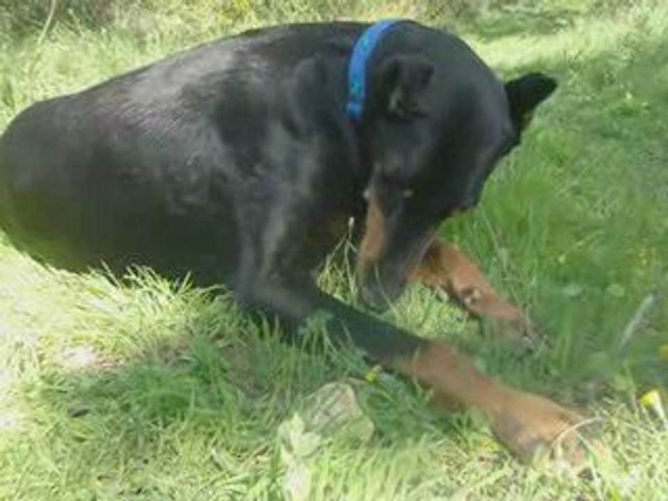 Sortie du 15 avril 2009 sam et alter