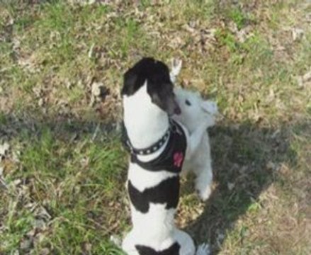 Ballade du mois d avril 2009