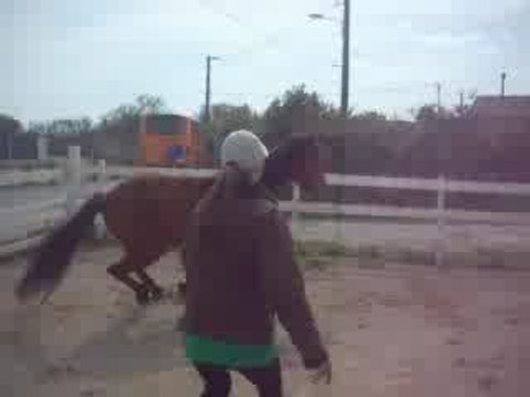 Kenzo , saut en liberté 15.04.09