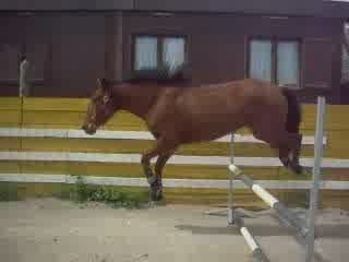 Kenzo & Laura , saut an liberté ^^