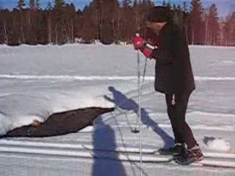 Vacance noel 2008 la glisse est là !